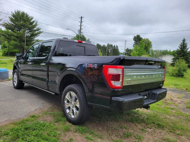 2021 Ford F-150 Platinum