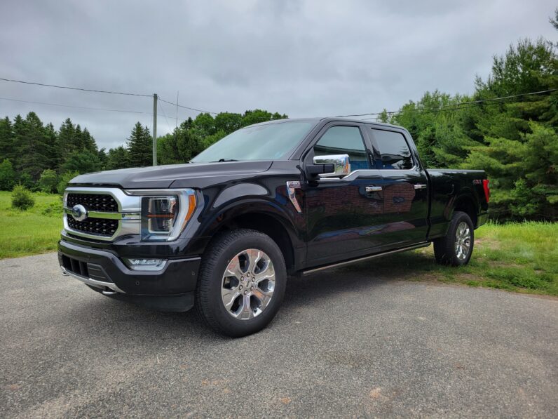 2021 Ford F-150 Platinum