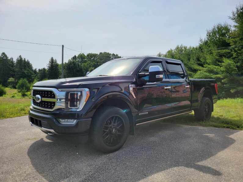 2021 Ford F-150 Platinum