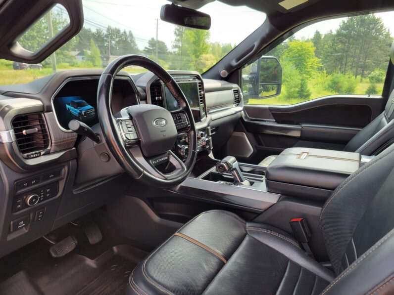 2021 Ford F-150 Platinum