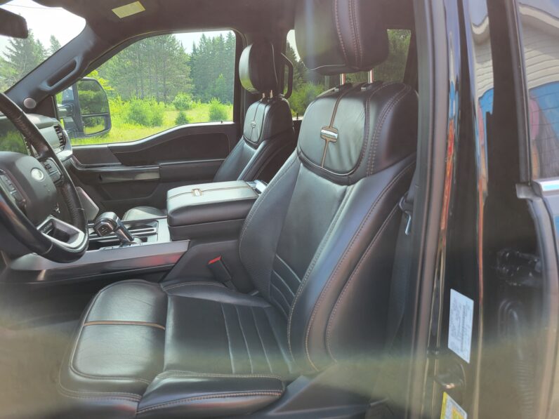 2021 Ford F-150 Platinum