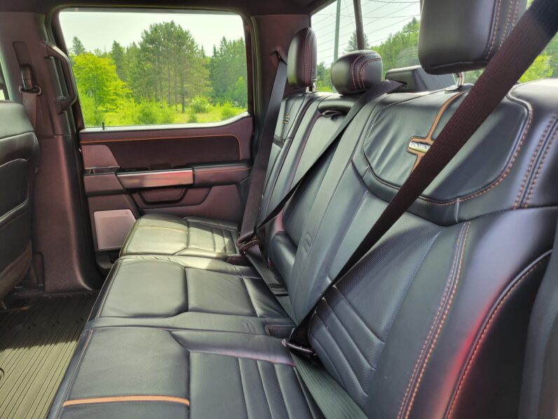 2021 Ford F-150 Platinum